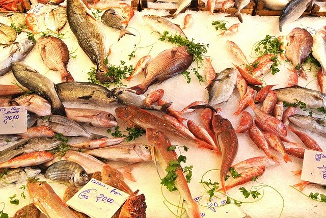 Fish Market Italy Palermo Sicily